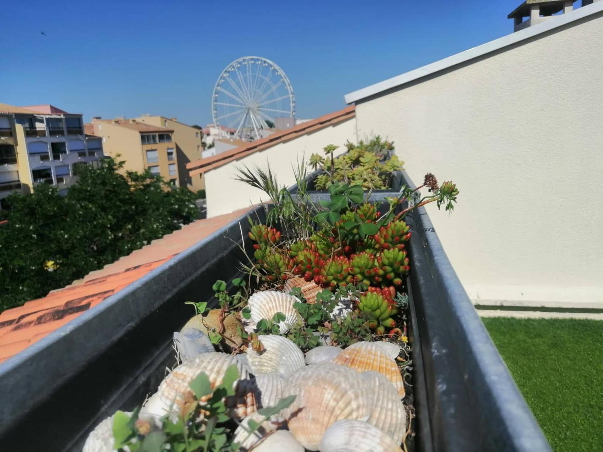 Pamela Sea Lodge Cap D Agde Extérieur photo